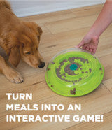 Wobble Bowl Puzzle Toy