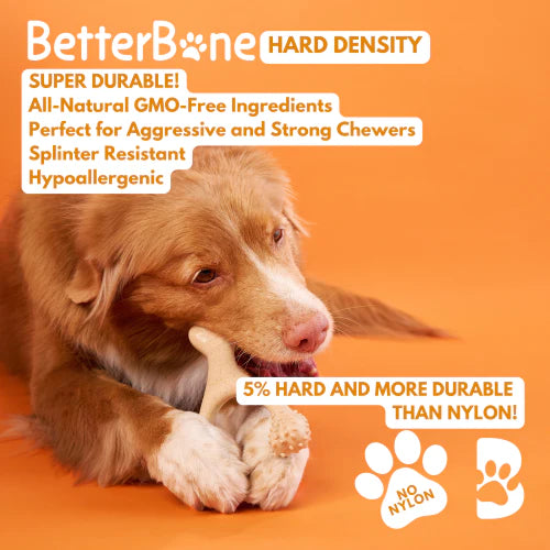 The BetterBone HARD Beef Chew Toy