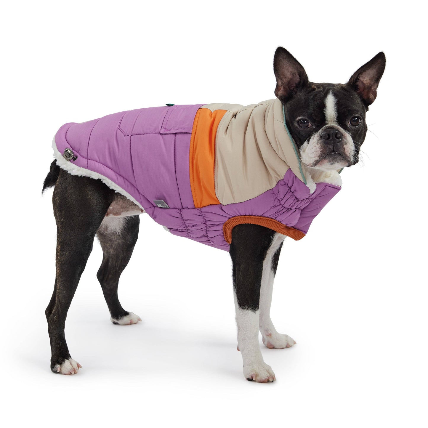 Purple GF Pet Camplife Puffer Coat