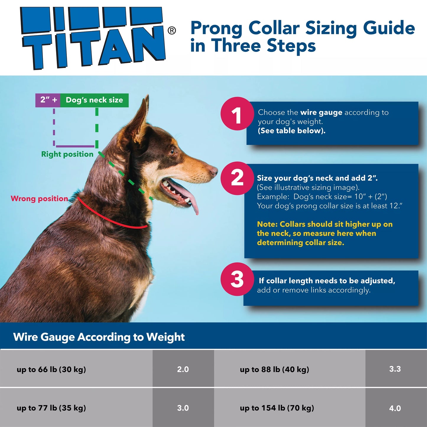 Titan Prong Collar