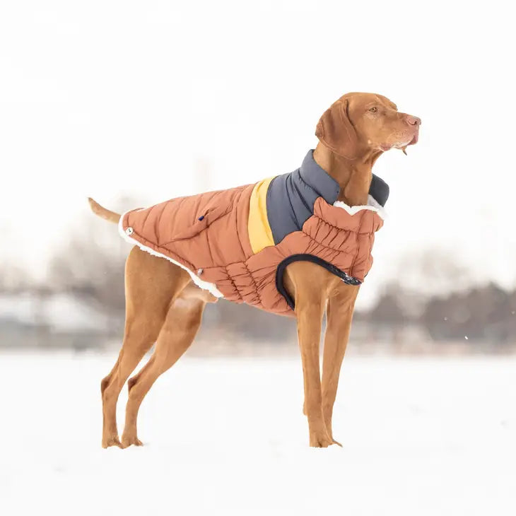 Hazel GF Pet Camplife Puffer Coat