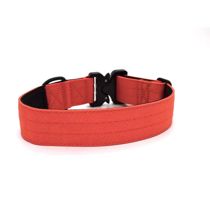 Outback Hound Burnt Orange Premium Dog Collar