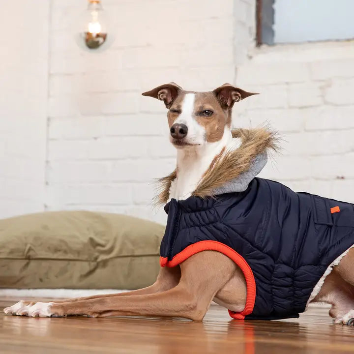 GF Pet Navy Winter Sailor Parka