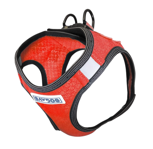 Clifford Red Liberty BAYDOG Harness