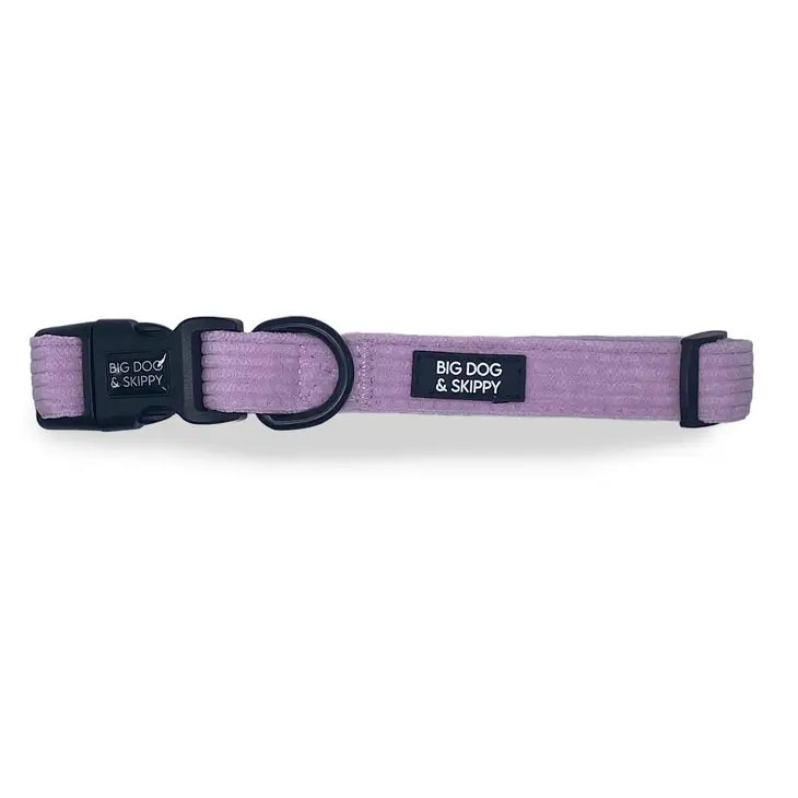 Lavender Corduroy Collar by Big Dog & Skippy