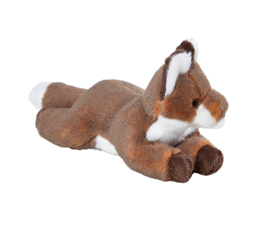 Anderson Fox | Fluff & Tuff