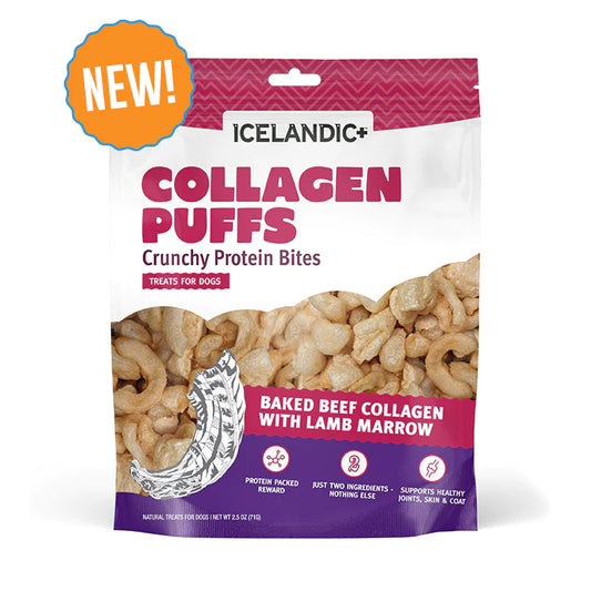 Icelandic Collagen Puffs with Lamb Marrow