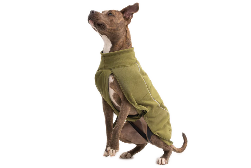 Climate Changer Dog Fleece Vest Cedar Green