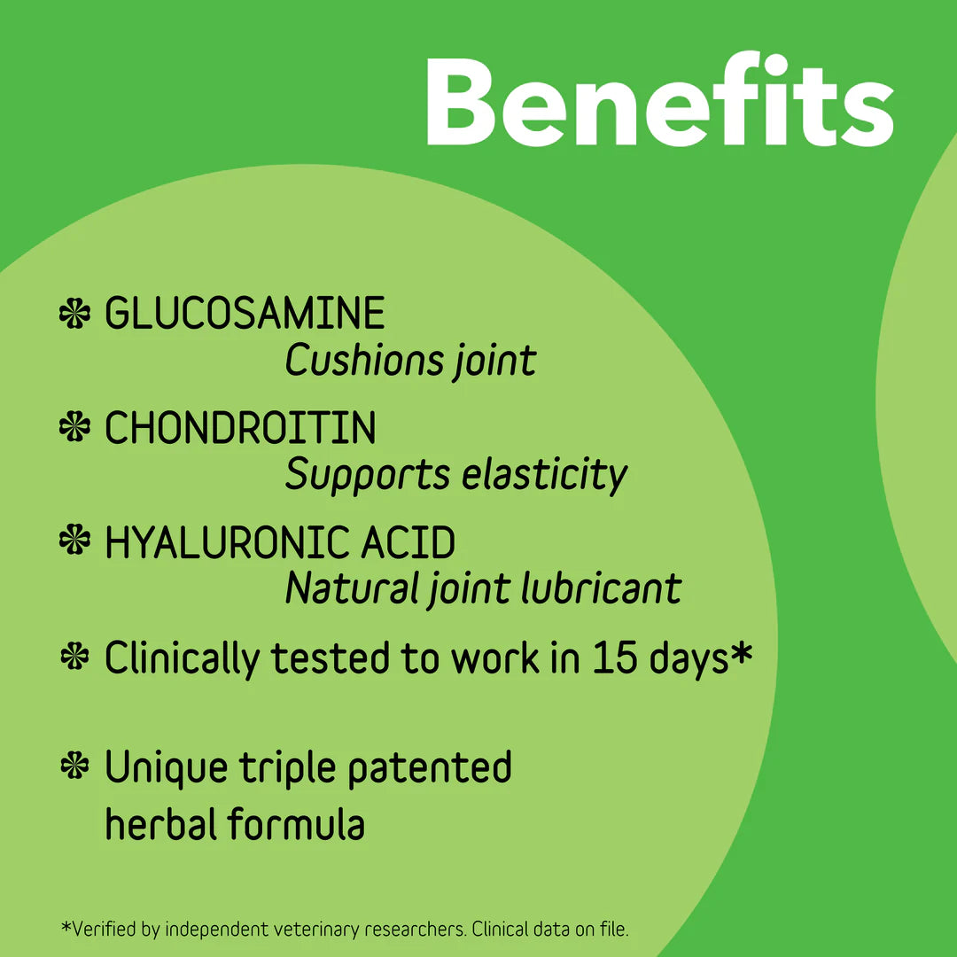 Canine Connectin Hip & Joint Supplement Powder | inClover