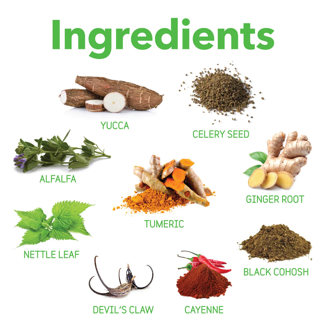 Canine Connectin Hip & Joint Supplement Powder | inClover