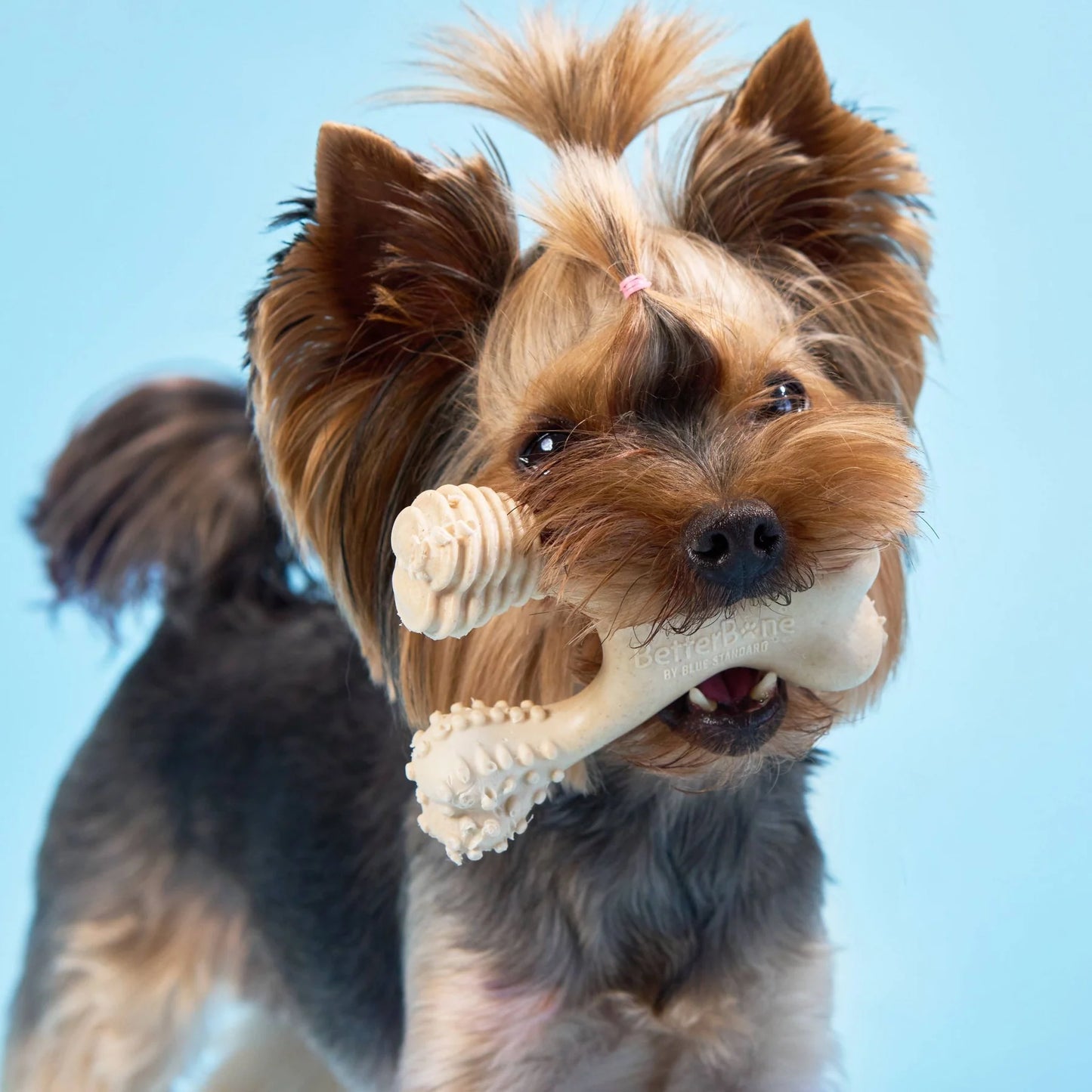 The BetterBone SOFT Beef Chew Toy