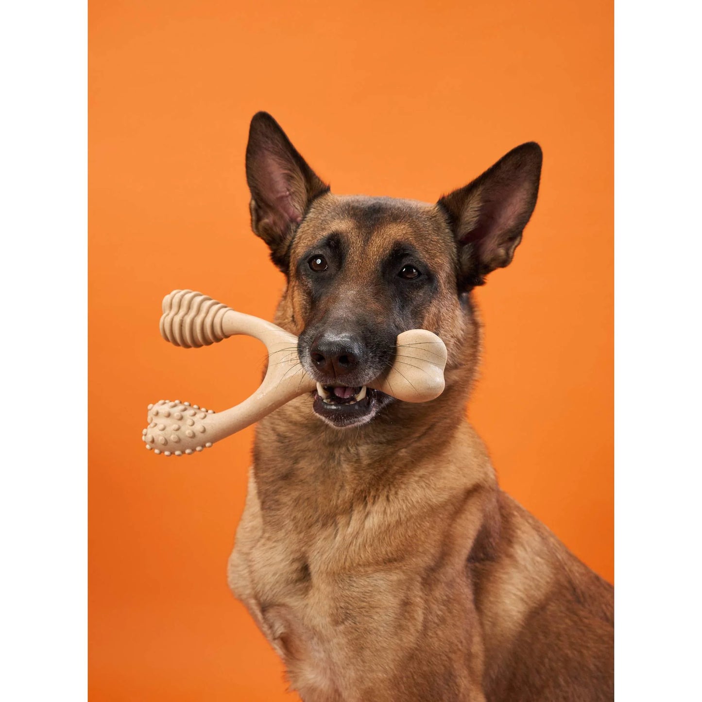 The BetterBone HARD Beef Chew Toy