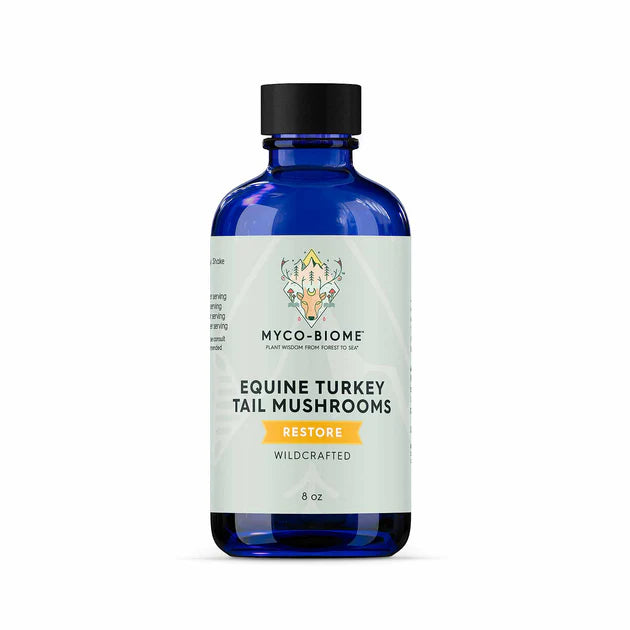Adored Beast Apothecary Turkey Tail Mushrooms | Liquid Triple Extract
