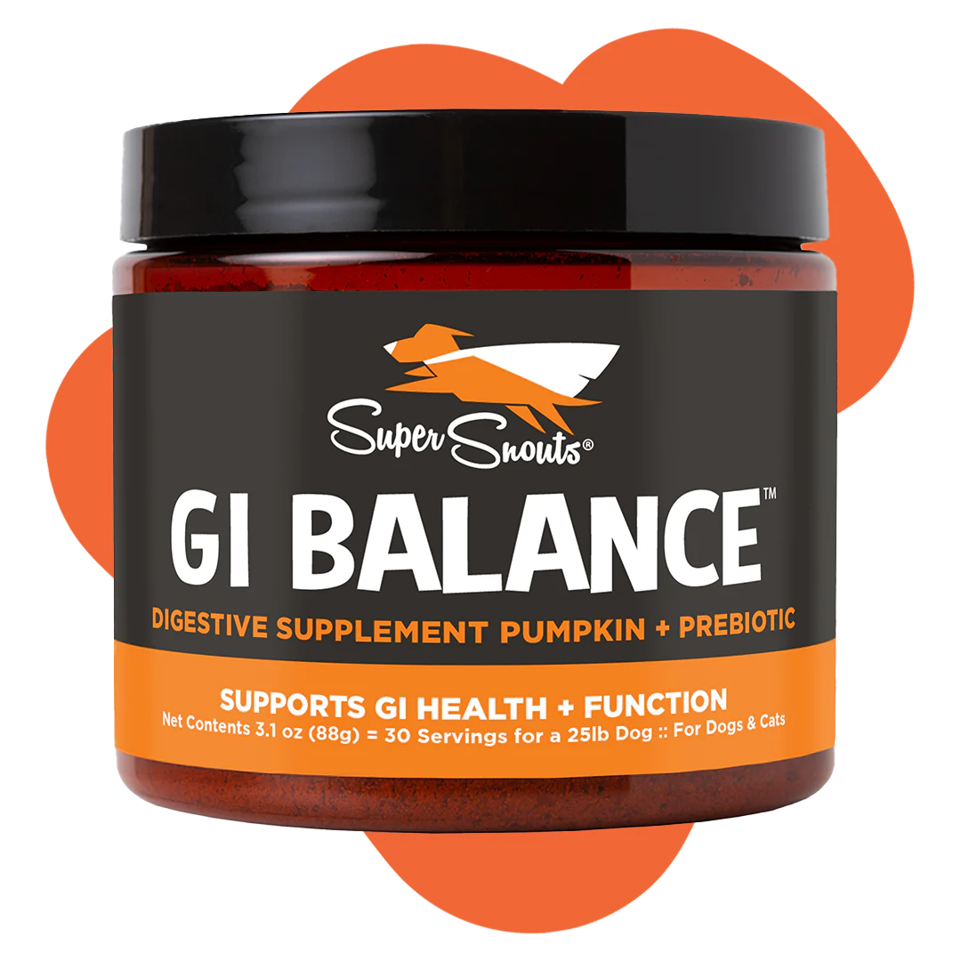 G.I. Balance Digestive Supplement
