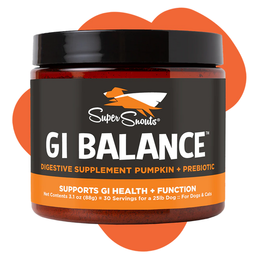 G.I. Balance Digestive Supplement