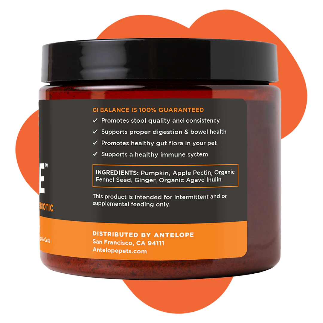 G.I. Balance Digestive Supplement