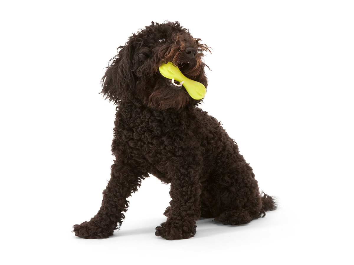 West Paw Hurley Toy