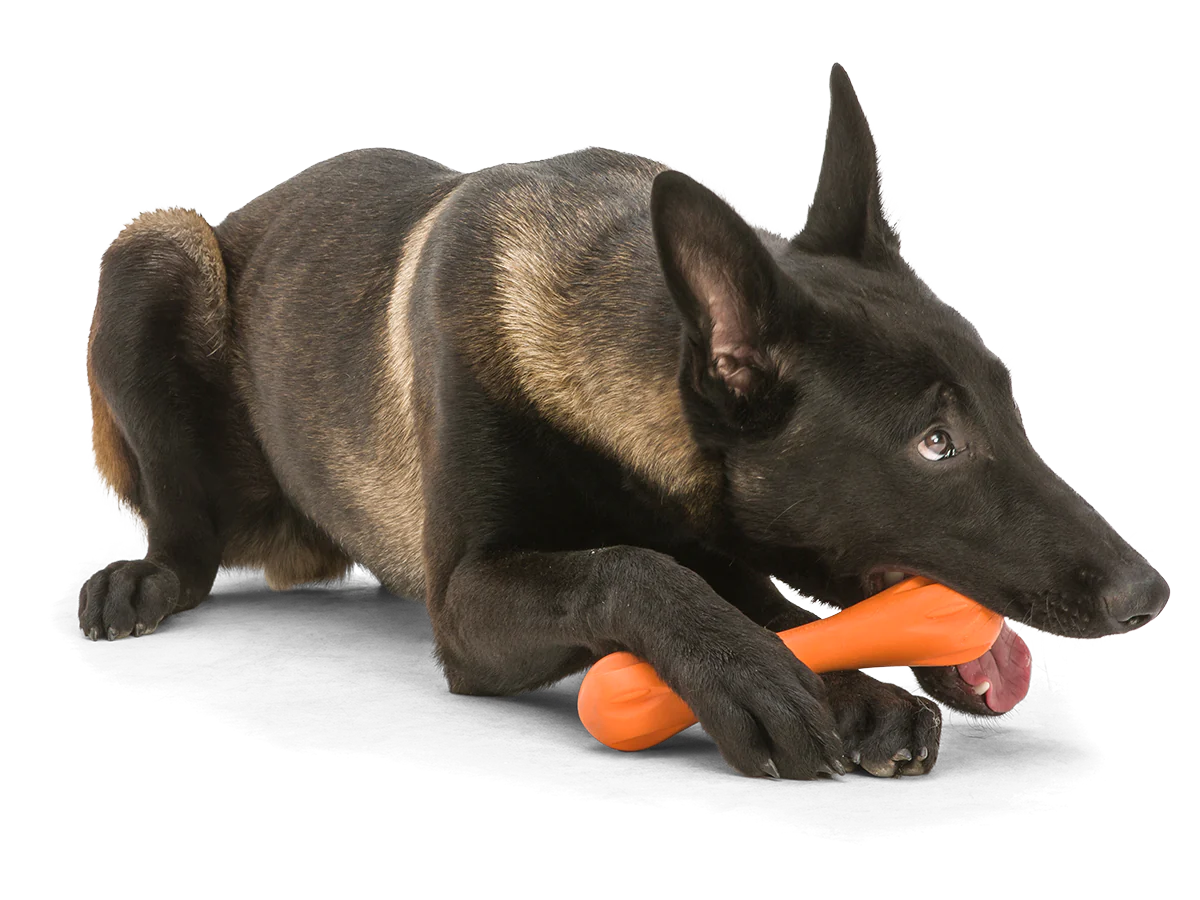 West Paw Hurley Toy