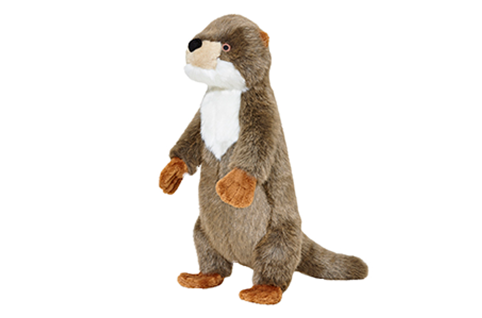Harry Otter | Fluff & Tuff