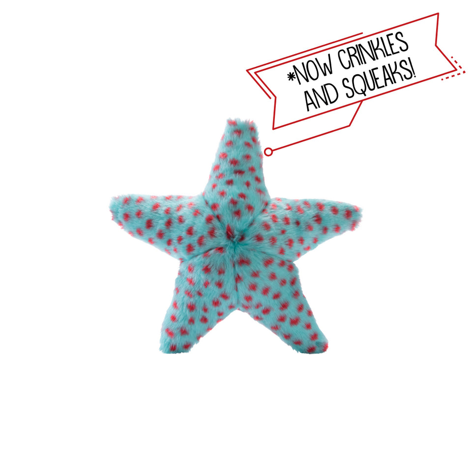Ally Starfish | Fluff & Tuff