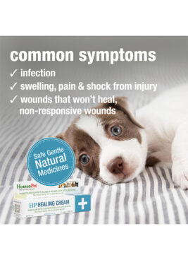 HomeoPet HEALING CREAM