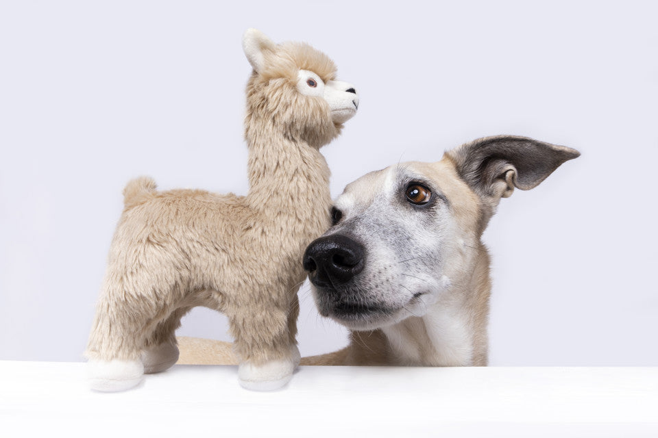 Inca Alpaca Plush Toy