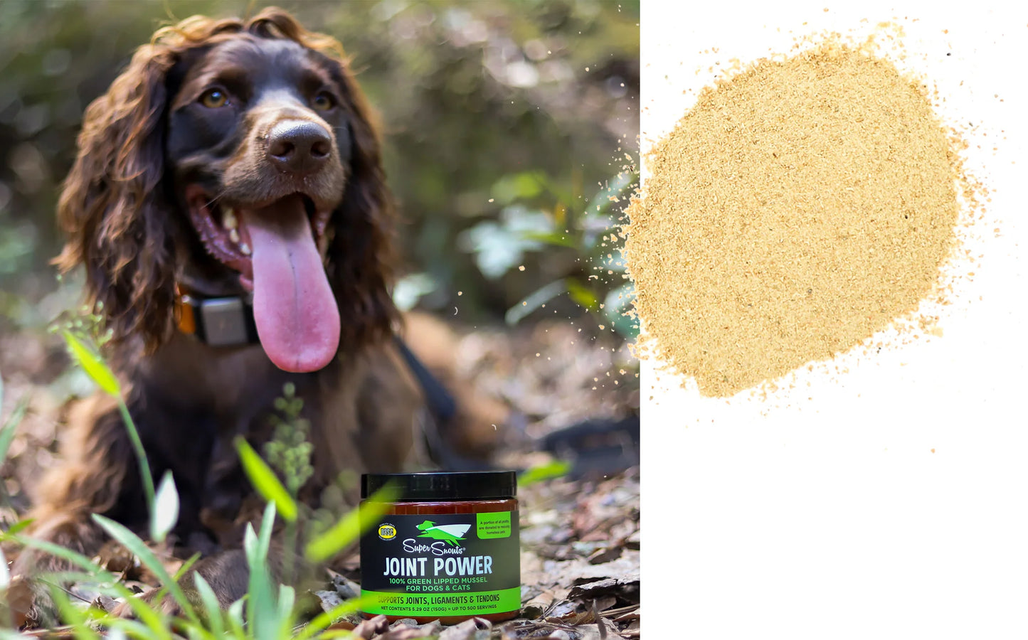 Green Lipped Mussel Joint Powder