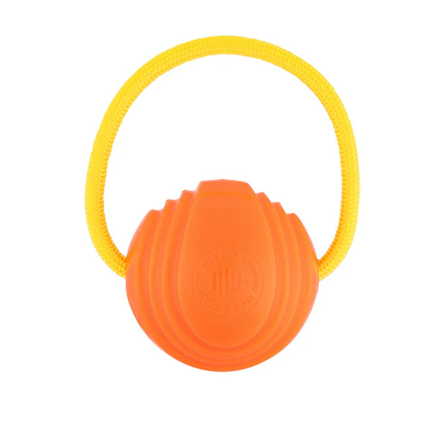 Project Hive Looped Ball