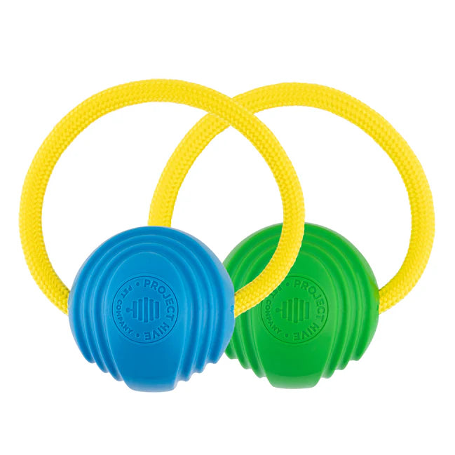 Project Hive Looped Ball