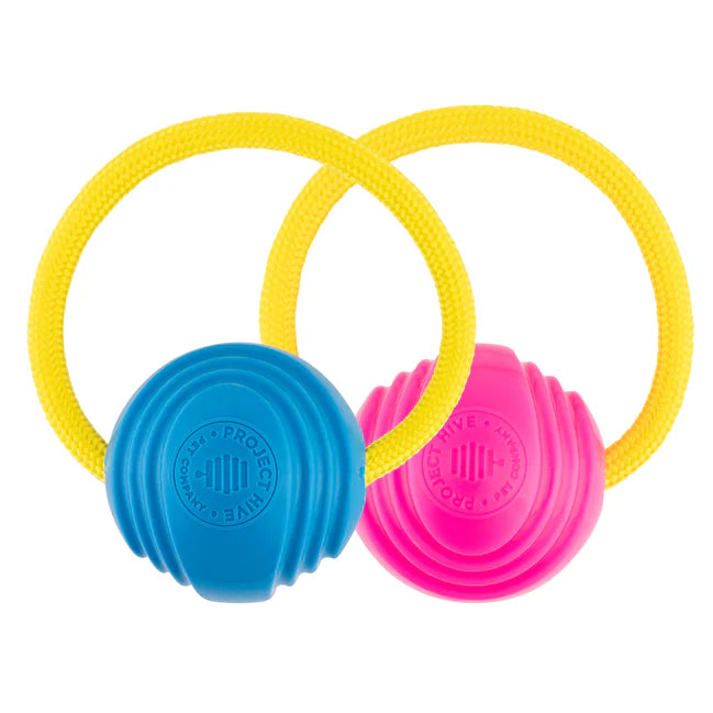 Project Hive Looped Ball