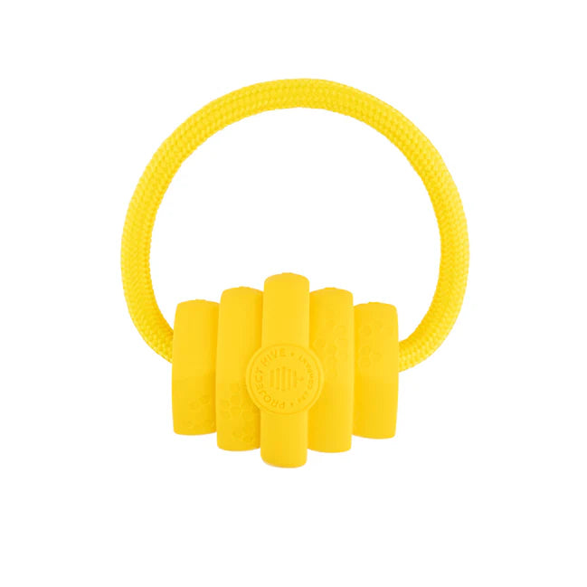 Project Hive Looped Hive Toy