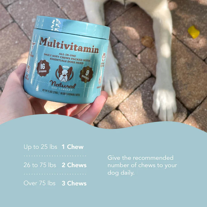 Natural Dog Company Multivitamin Soft Chew Supplement