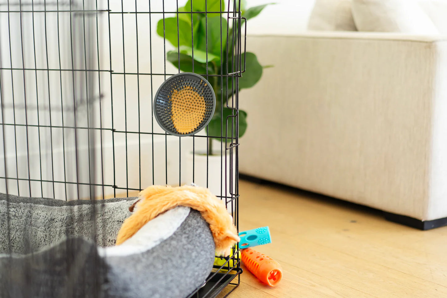 Crate Lick Plate | Messy Mutts
