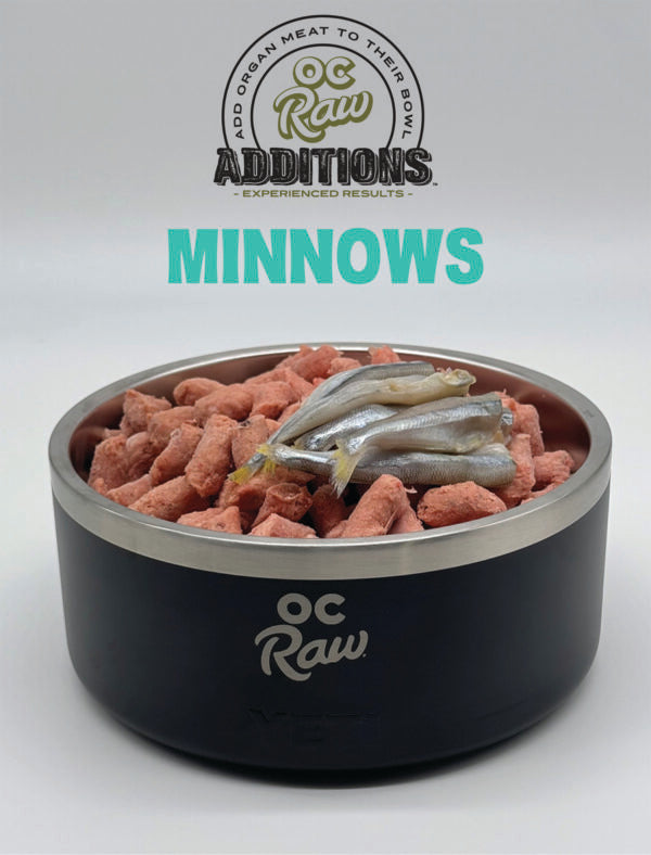OC Raw Raw Minnows