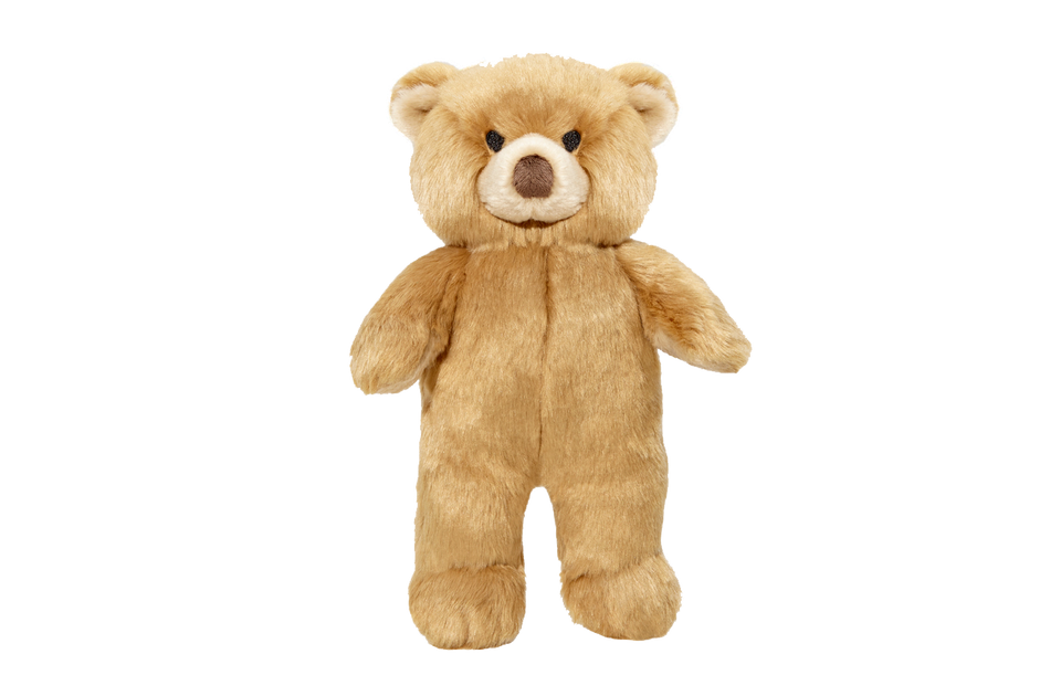 Mr. Honey Bear Plush Toy