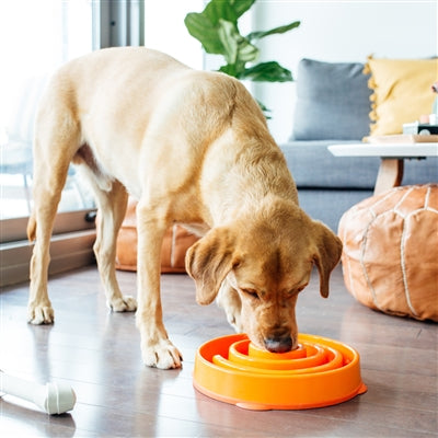 Outward Hound Orange Swirl Fun Feeder Slo-Bowl