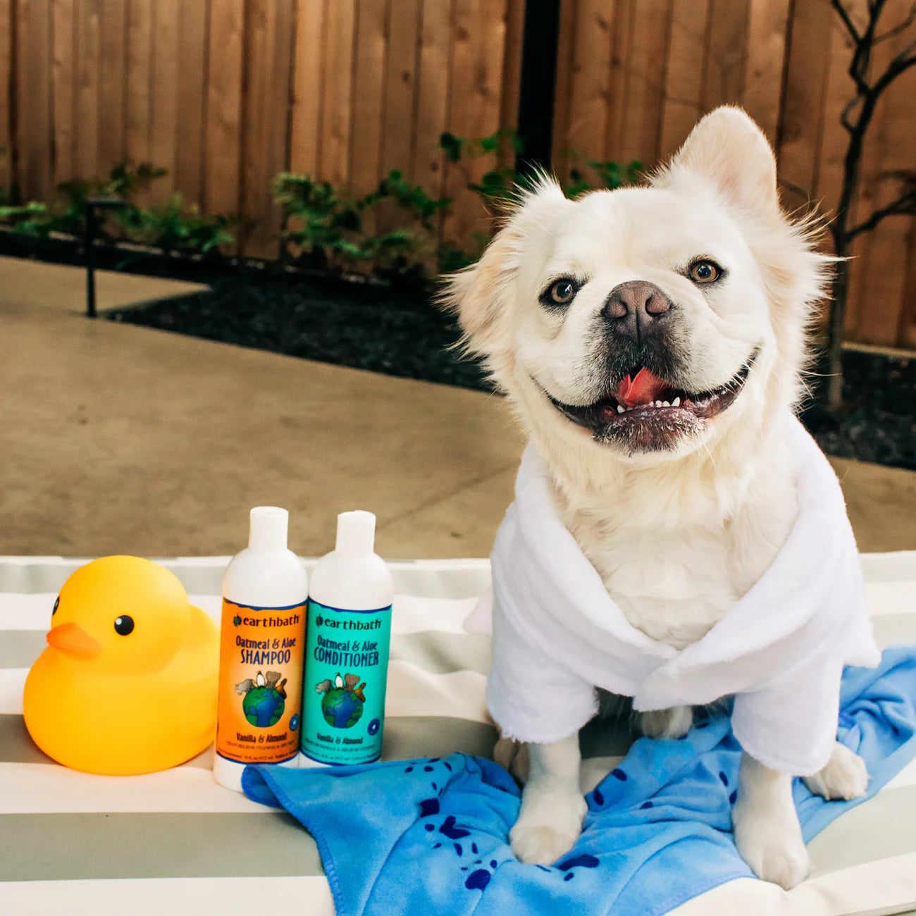 Earthbath Oatmeal and Aloe Shampoo