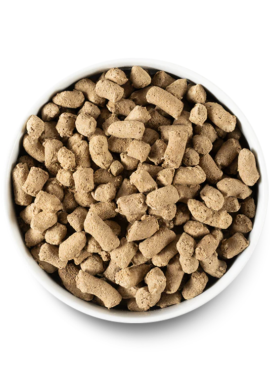 Open Farm Freeze Dried Raw Morsels, Pasture-raised Lamb