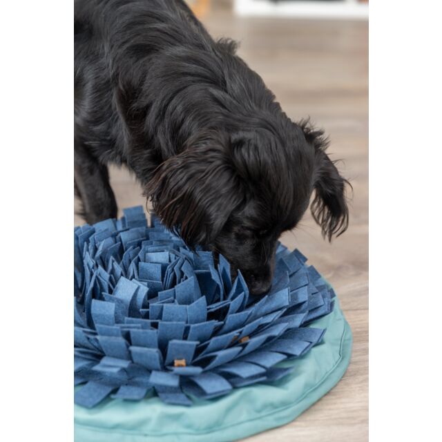 Snuffle & Seek Bowl | Trixie