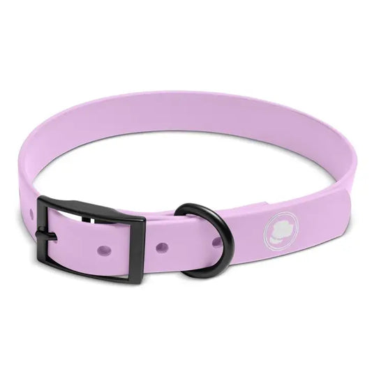 Lilac Biothane Collar