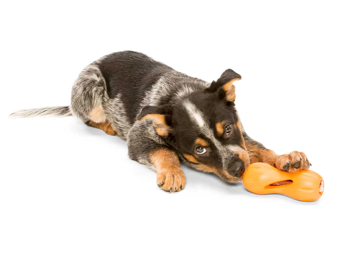 Qwizl Treat Toy | West Paw