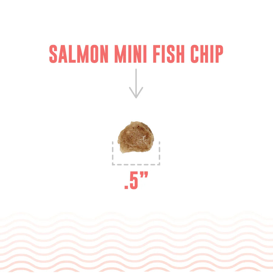Icelandic Salmon Mini Fish Chips
