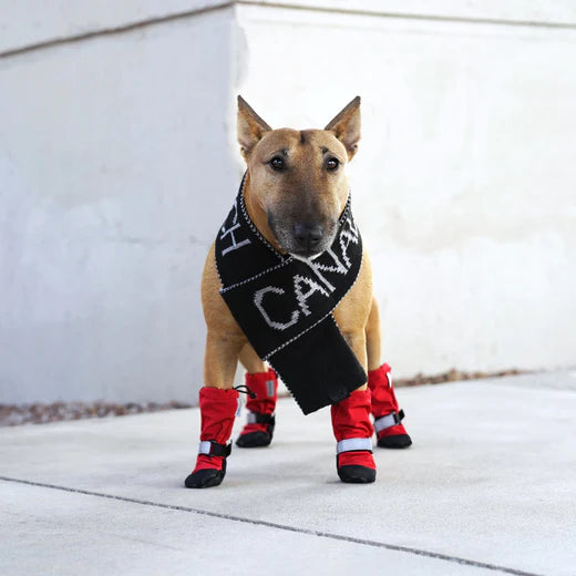 Red Soft Shield Winter Boots