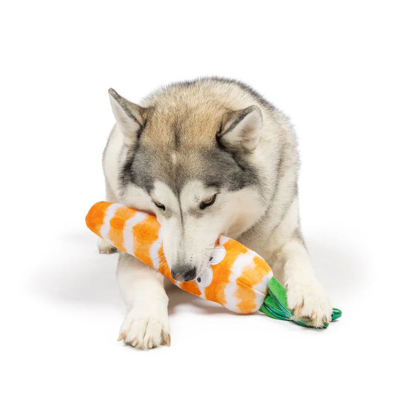 Fetchies Sweet Carrot Dog Toy | Huxley & Kent