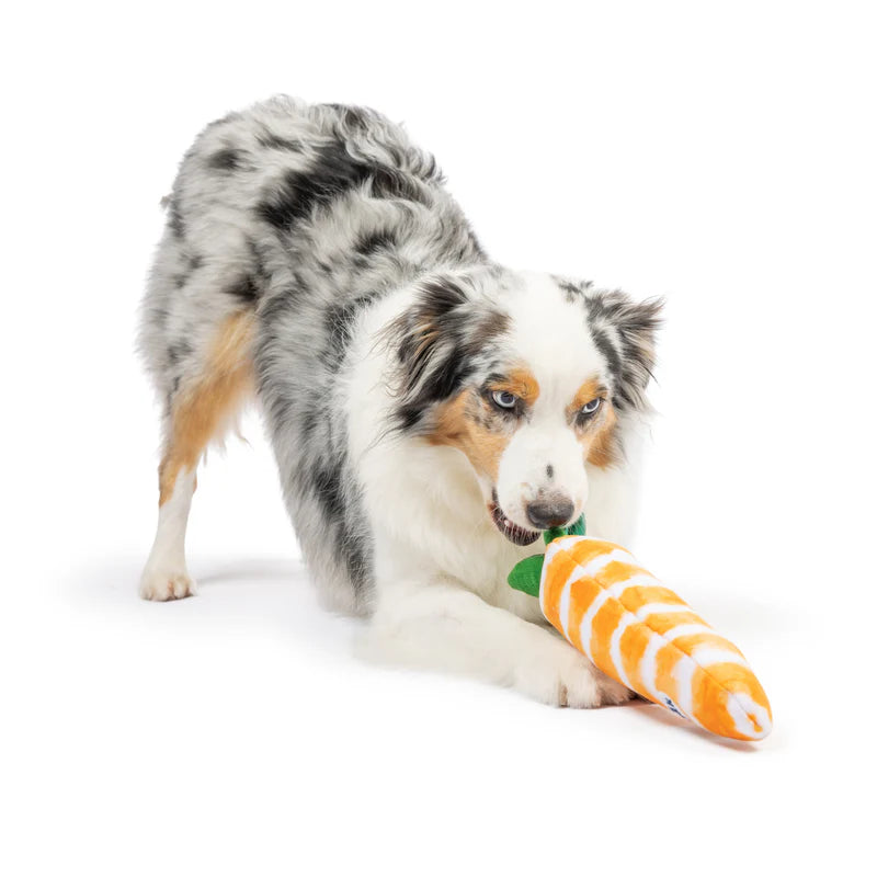 Fetchies Sweet Carrot Dog Toy | Huxley & Kent