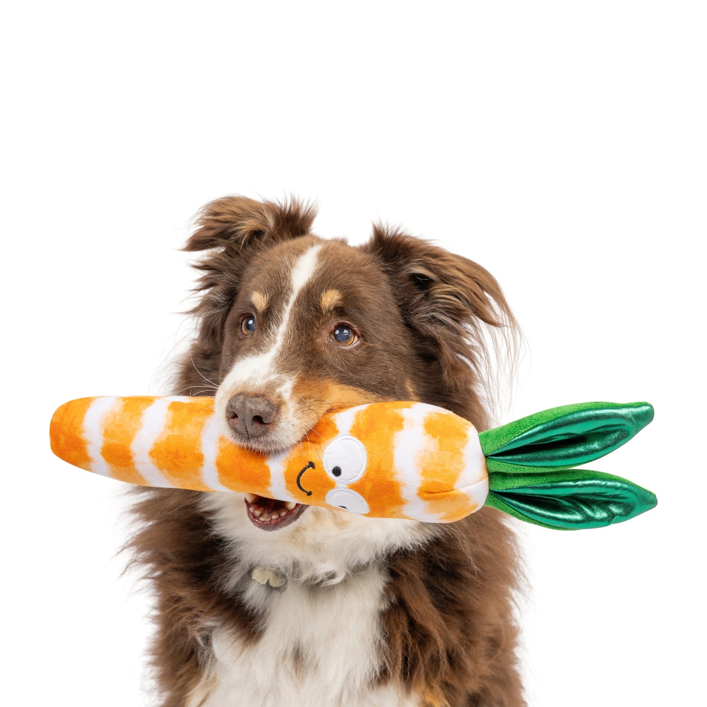 Fetchies Sweet Carrot Dog Toy | Huxley & Kent