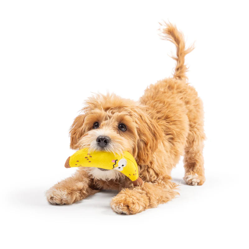 Tiny Tuff Small Breed Plush Toys
