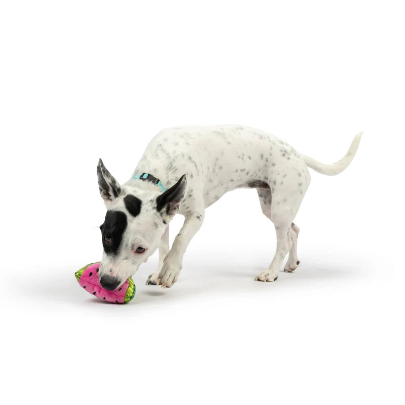 Tiny Tuff Small Breed Plush Toys