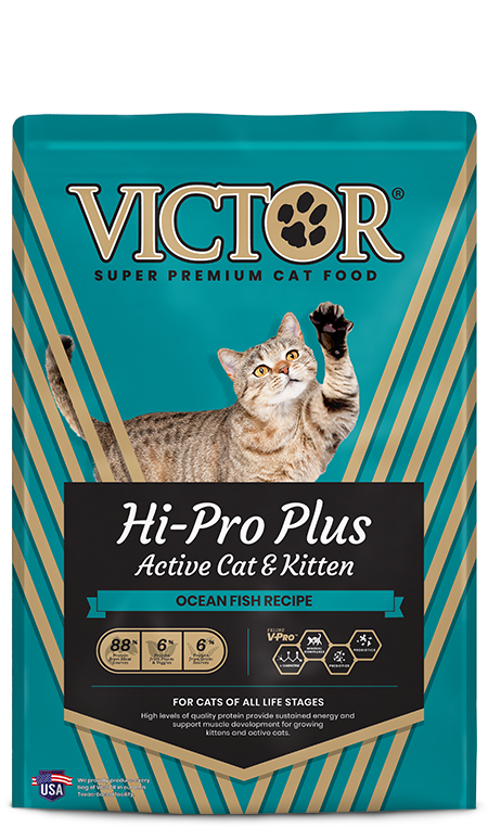 Hi-Pro Plus Dry Cat Food