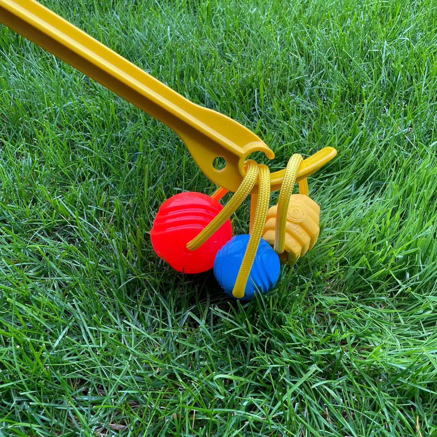 Project Hive Looped Hive Toy